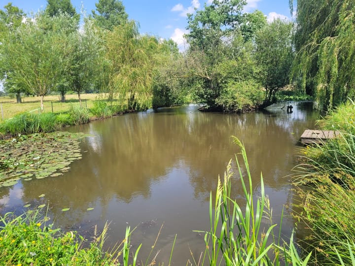 Foto 76 van Leropperweg 26