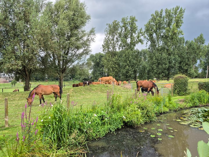 Foto 77 van Leropperweg 26