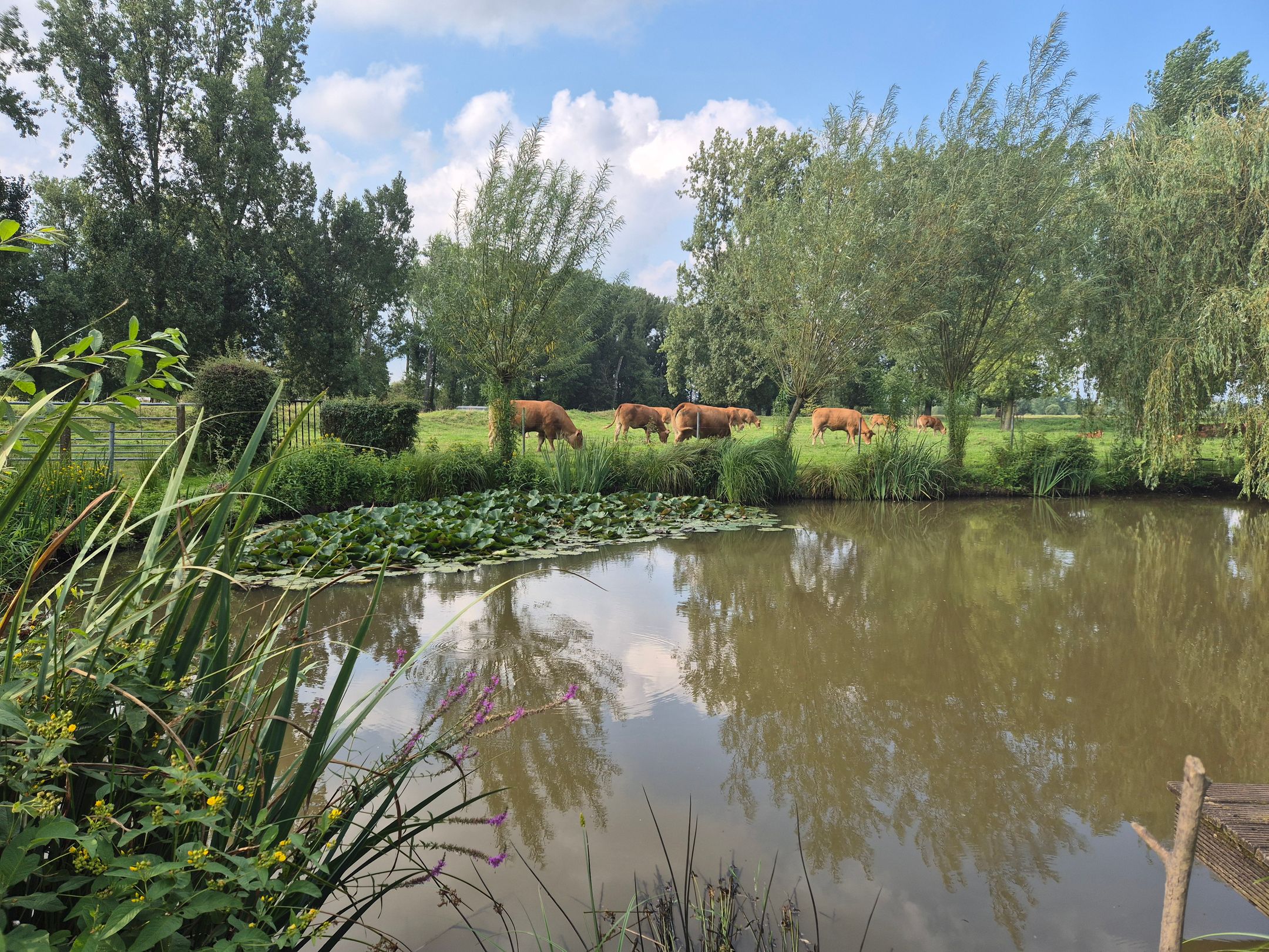 Foto 78 van Leropperweg 26