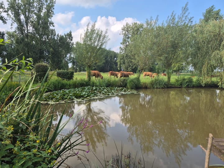 Foto 78 van Leropperweg 26