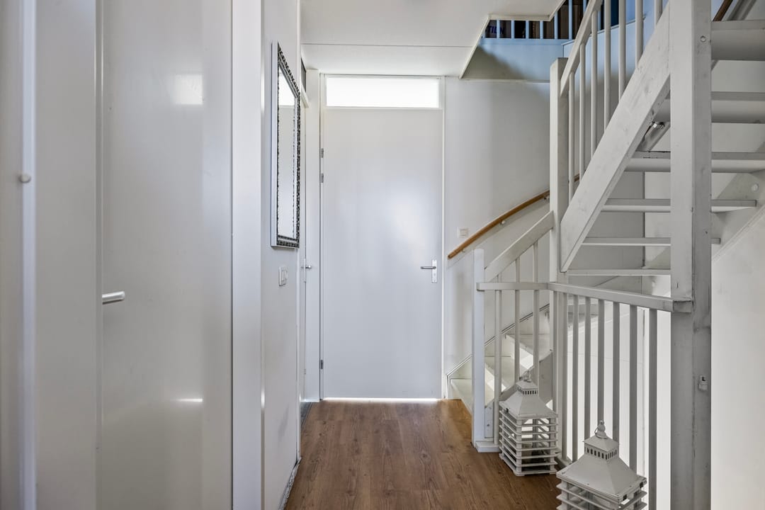 Foto 11 van Veldleeuwerik 3