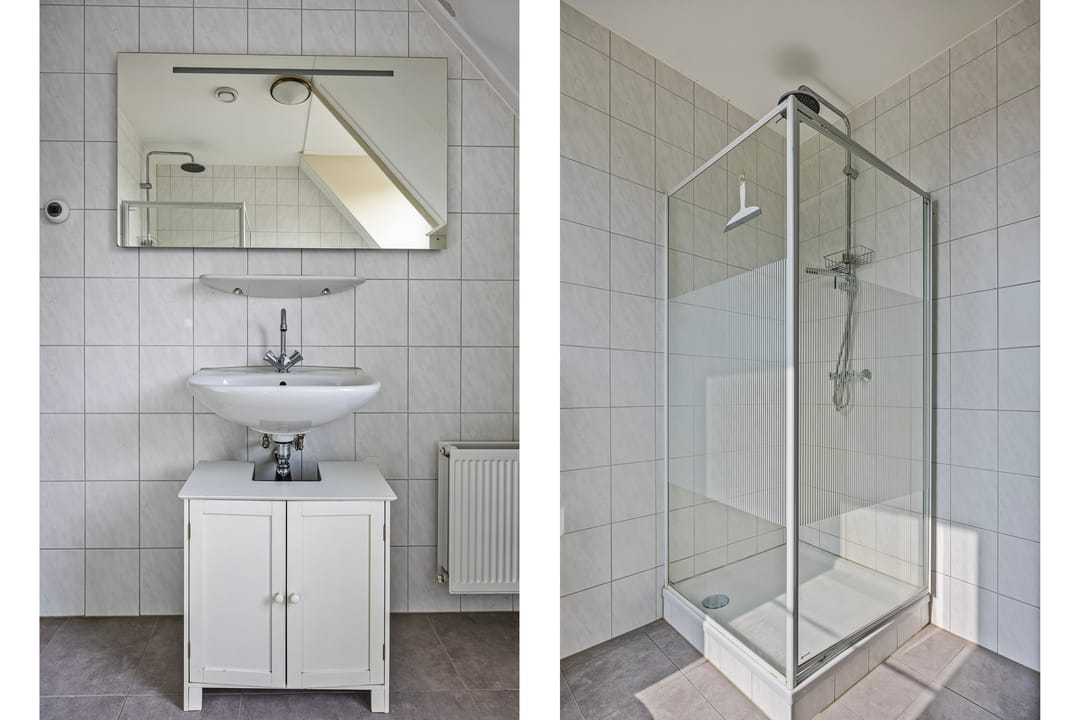 Foto 17 van Veldleeuwerik 3