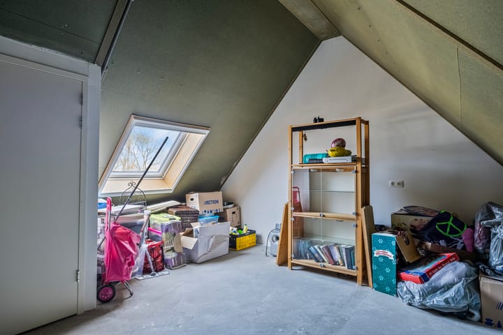 Foto 18 van Veldleeuwerik 3