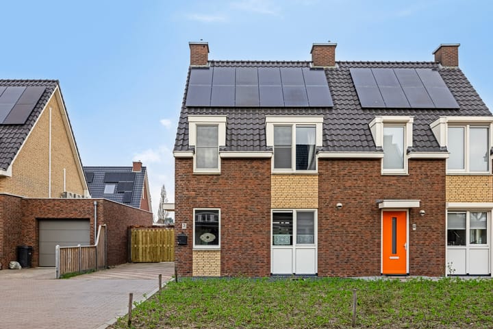 Foto 22 van Veldleeuwerik 3