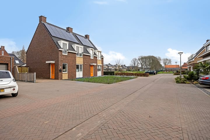 Foto 23 van Veldleeuwerik 3