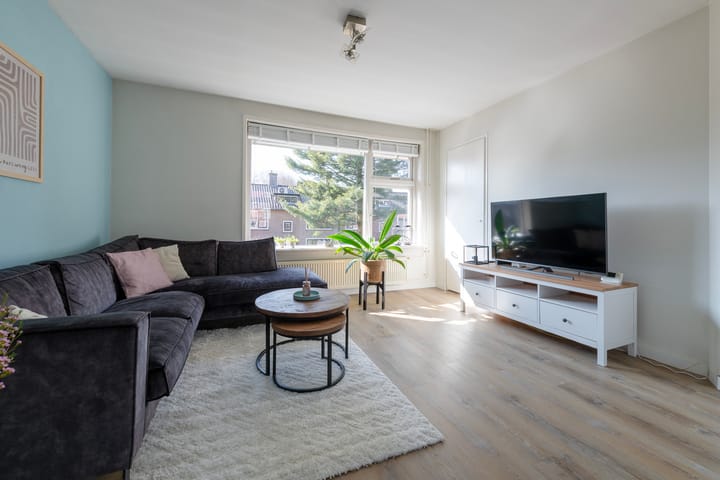 Foto 6 van Laan van Henegouwen 50