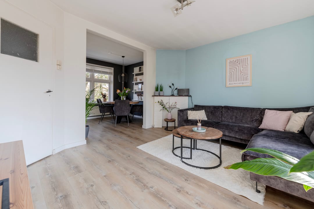 Foto 7 van Laan van Henegouwen 50