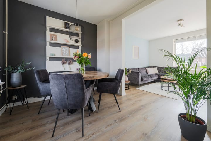 Foto 10 van Laan van Henegouwen 50