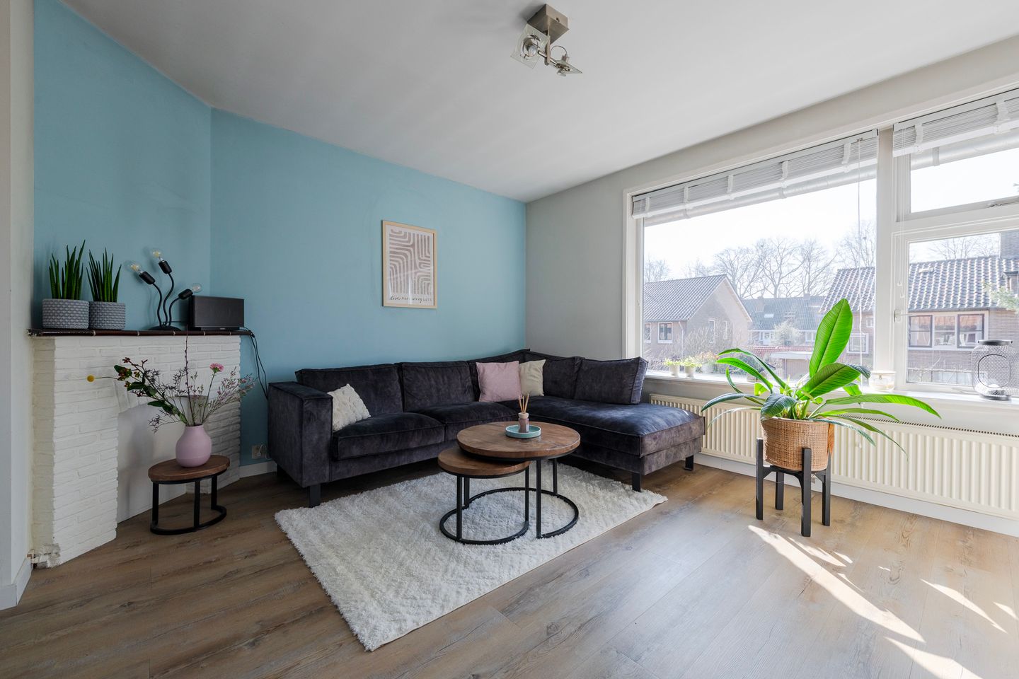 Foto 5 van Laan van Henegouwen 50