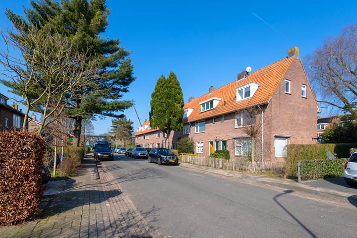 Foto 24 van Laan van Henegouwen 50