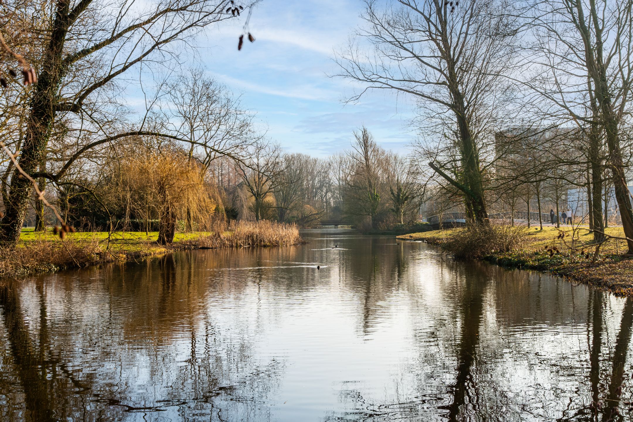 Foto 30 van Achillesstraat 88-2