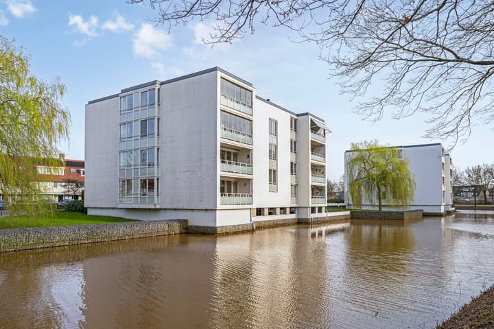 Foto 1 van IJsvogel 47