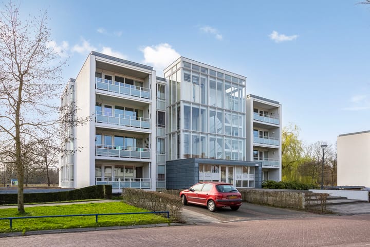 Foto 2 van IJsvogel 47