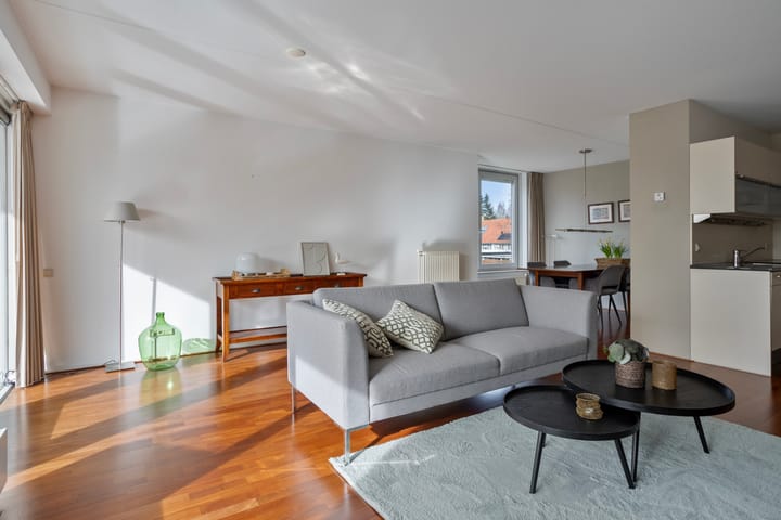 Foto 3 van IJsvogel 47