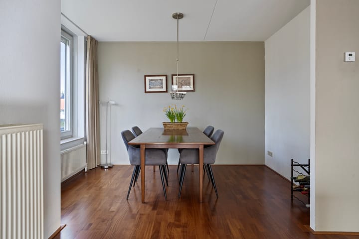 Foto 4 van IJsvogel 47