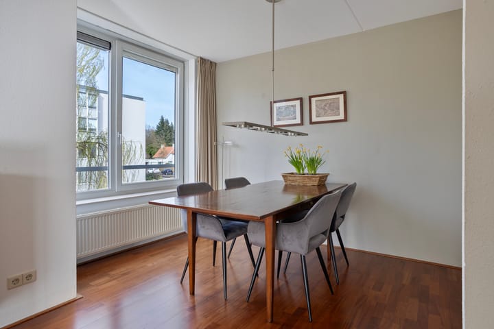 Foto 5 van IJsvogel 47