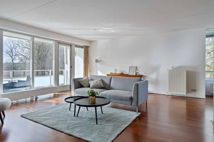 Foto 6 van IJsvogel 47