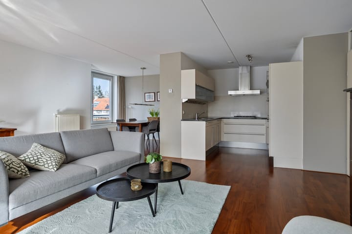 Foto 7 van IJsvogel 47