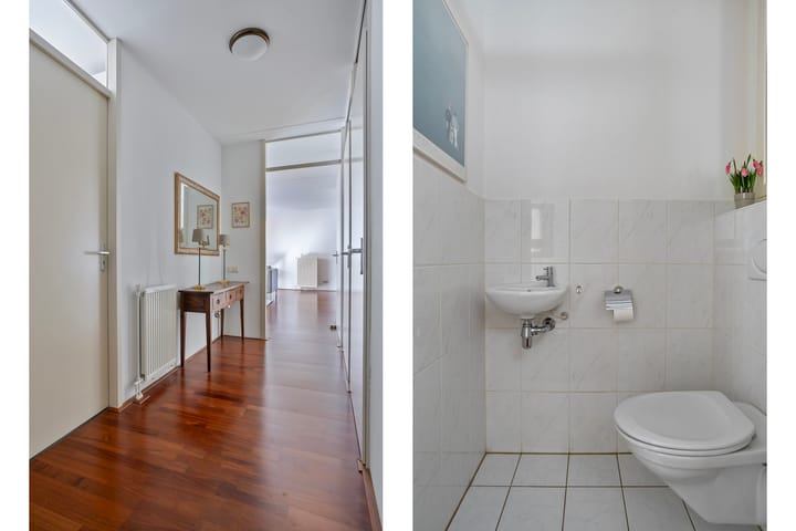 Foto 14 van IJsvogel 47