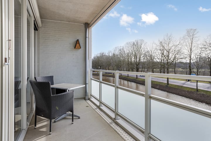 Foto 20 van IJsvogel 47