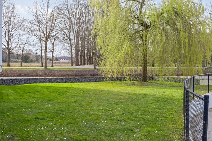 Foto 27 van IJsvogel 47