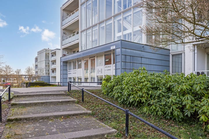 Foto 28 van IJsvogel 47