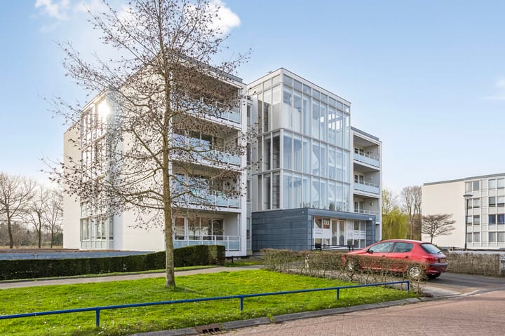 Foto 29 van IJsvogel 47