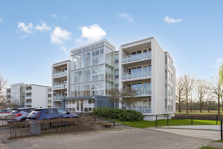 Foto 31 van IJsvogel 47