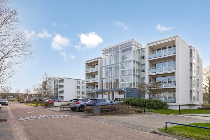 Foto 32 van IJsvogel 47