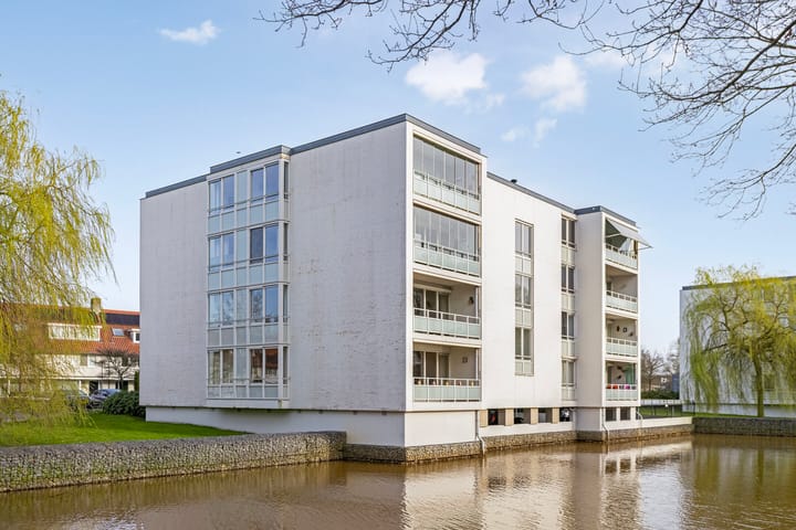 Foto 33 van IJsvogel 47