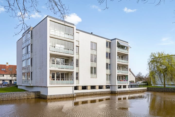 Foto 34 van IJsvogel 47