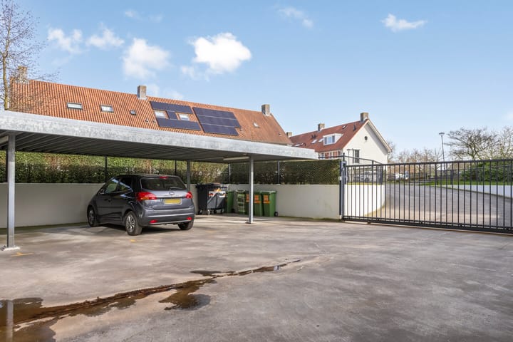 Foto 36 van IJsvogel 47