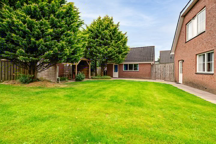 Foto 6 van Gerbera 3