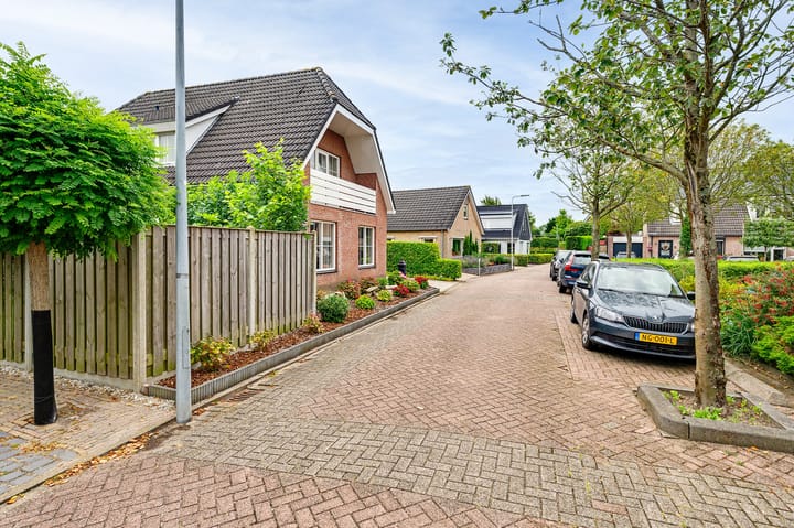 Foto 9 van Gerbera 3