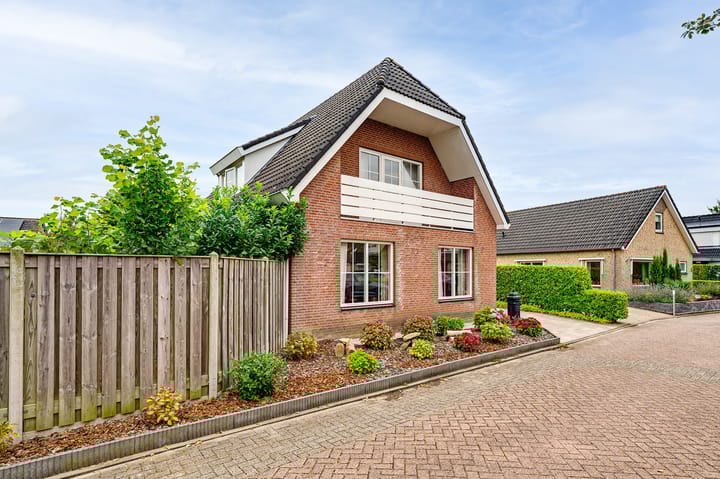 Foto 10 van Gerbera 3