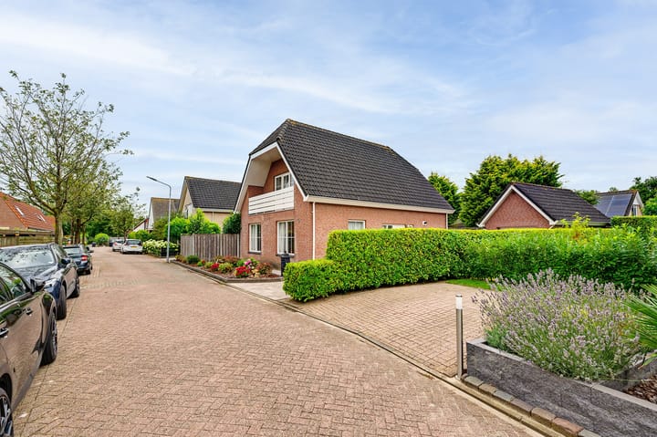 Foto 11 van Gerbera 3