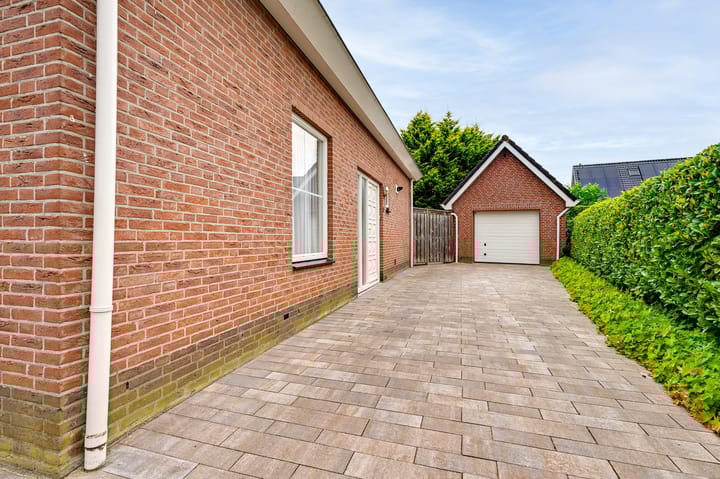 Foto 12 van Gerbera 3