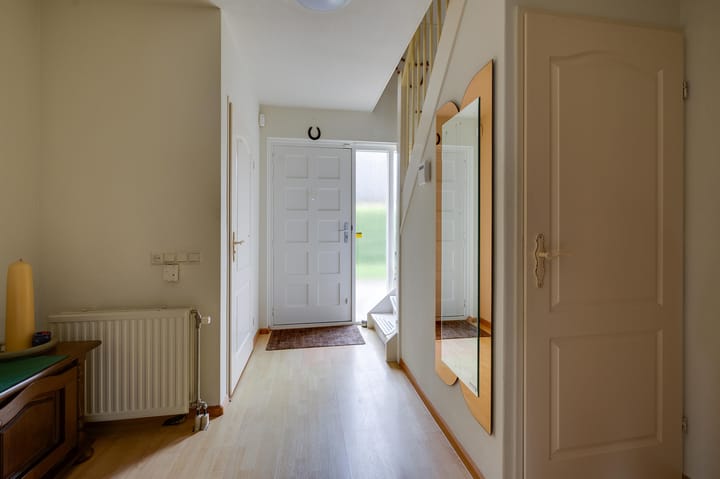 Foto 13 van Gerbera 3