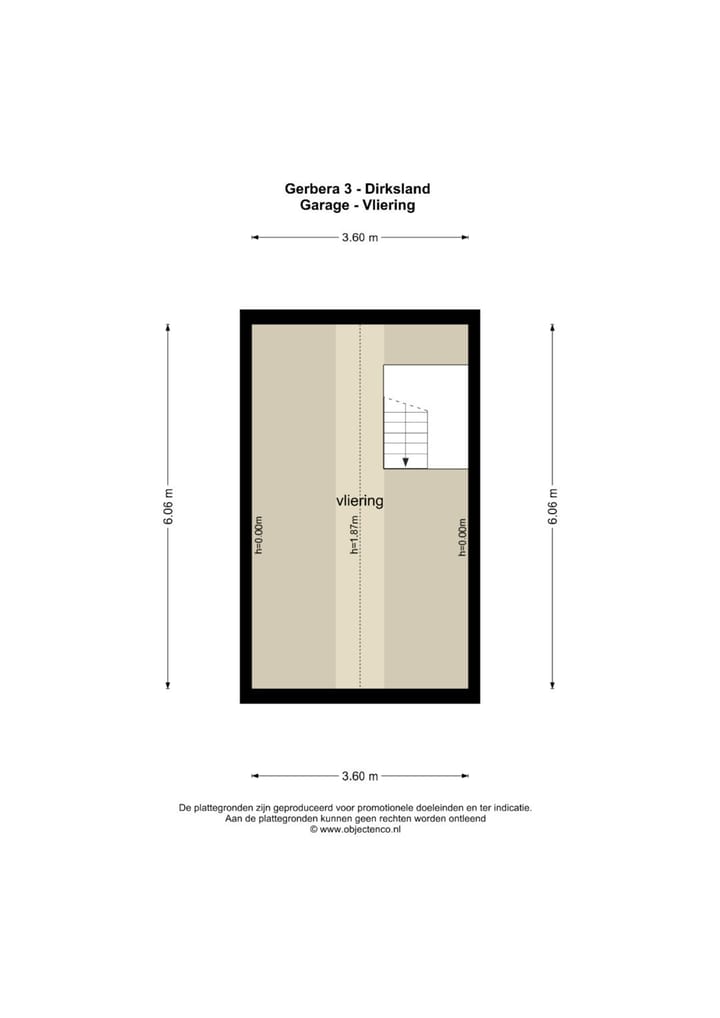 Foto 78 van Gerbera 3