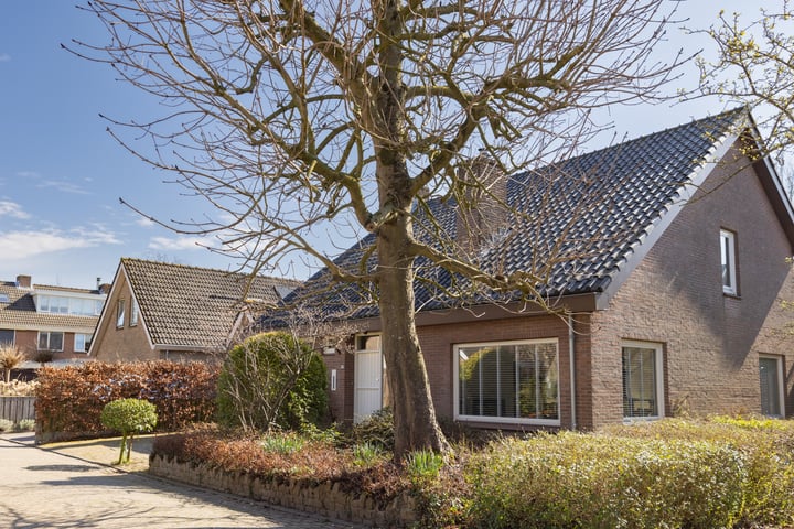 Kluut 17
