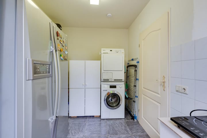 Foto 34 van Gerbera 3