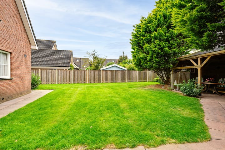 Foto 35 van Gerbera 3