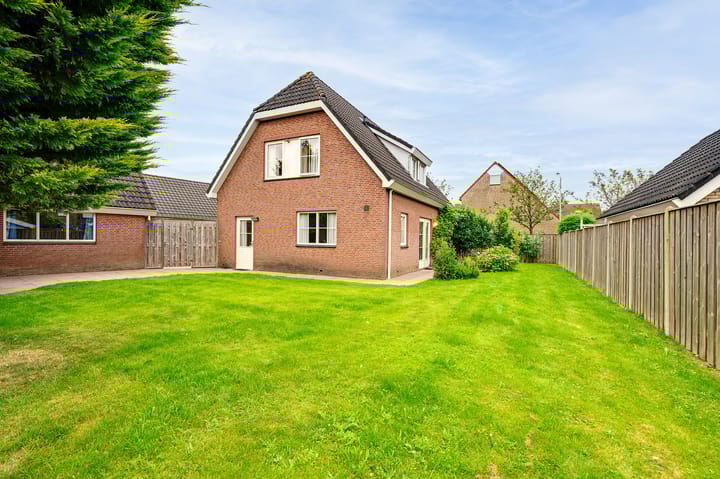 Foto 36 van Gerbera 3