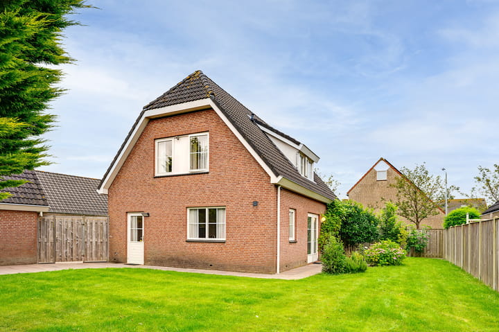 Foto 37 van Gerbera 3