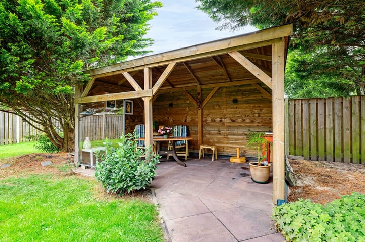 Foto 38 van Gerbera 3