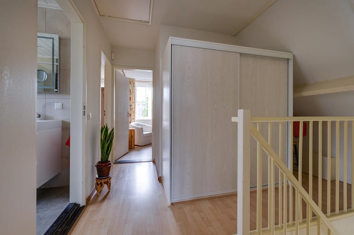 Foto 44 van Gerbera 3