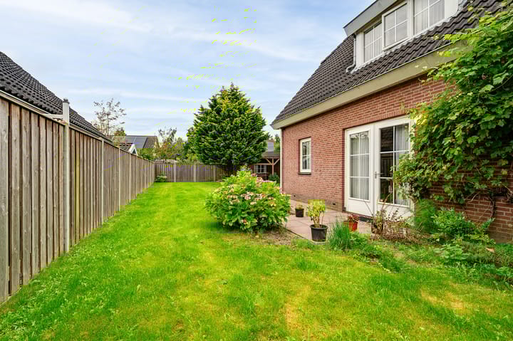 Foto 40 van Gerbera 3