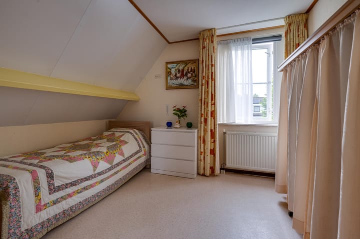 Foto 51 van Gerbera 3