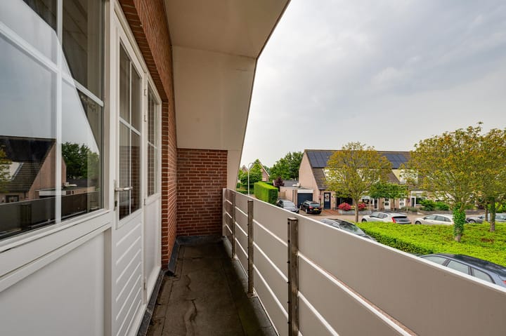 Foto 49 van Gerbera 3