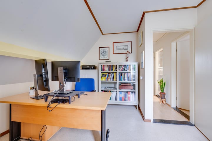 Foto 57 van Gerbera 3